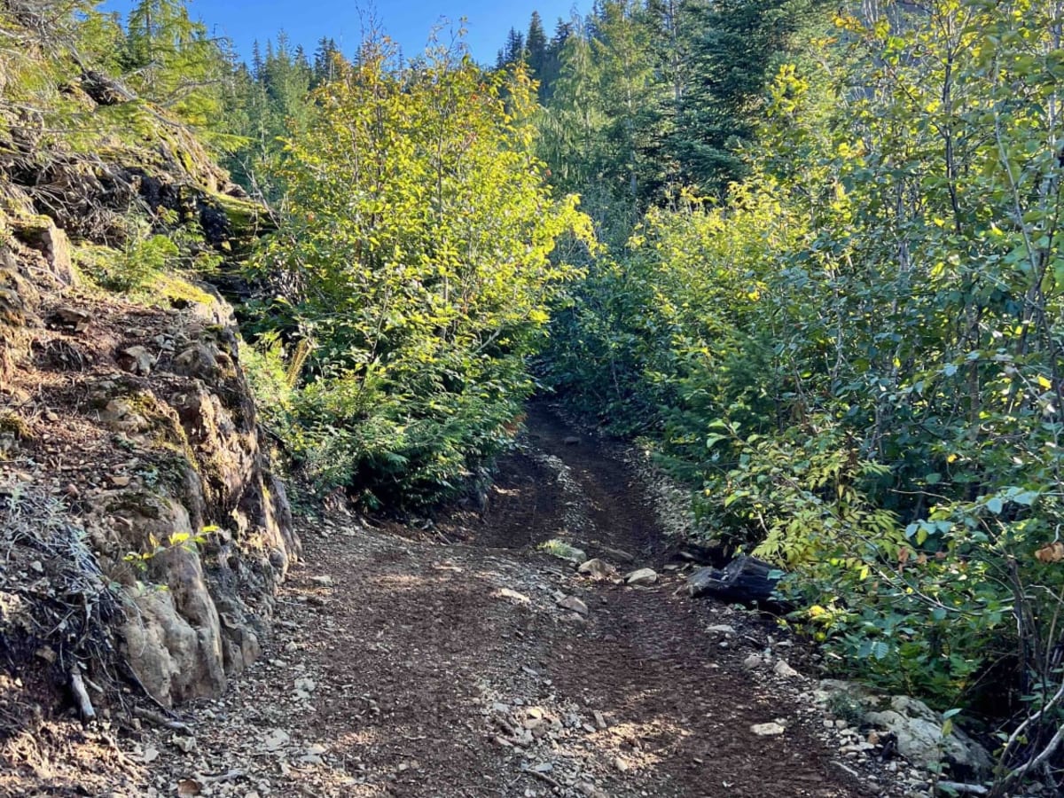 Switchback Hill photo 5