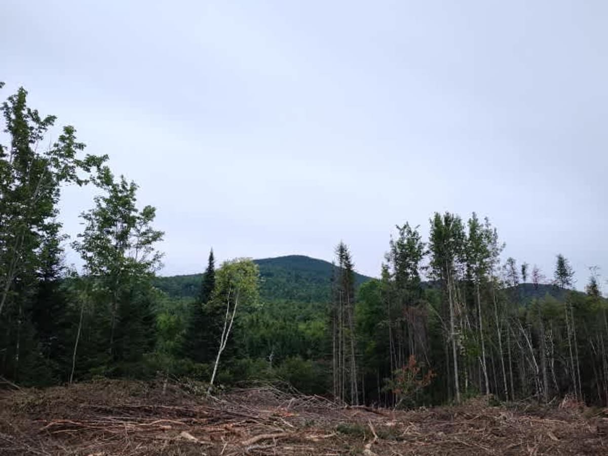 B52 Memorial Site - Elephant Mountain photo 2