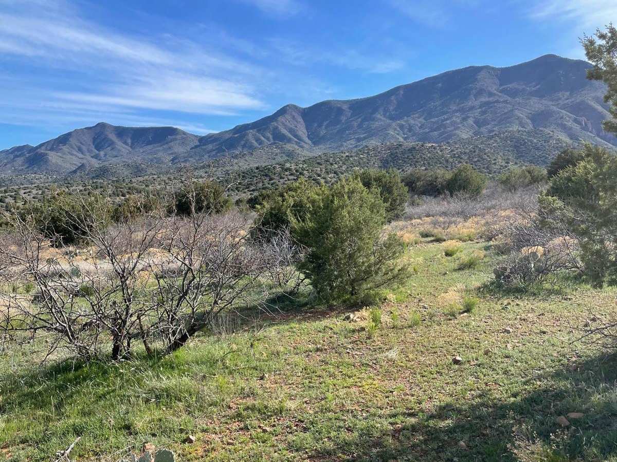 Quail Spring trail photo