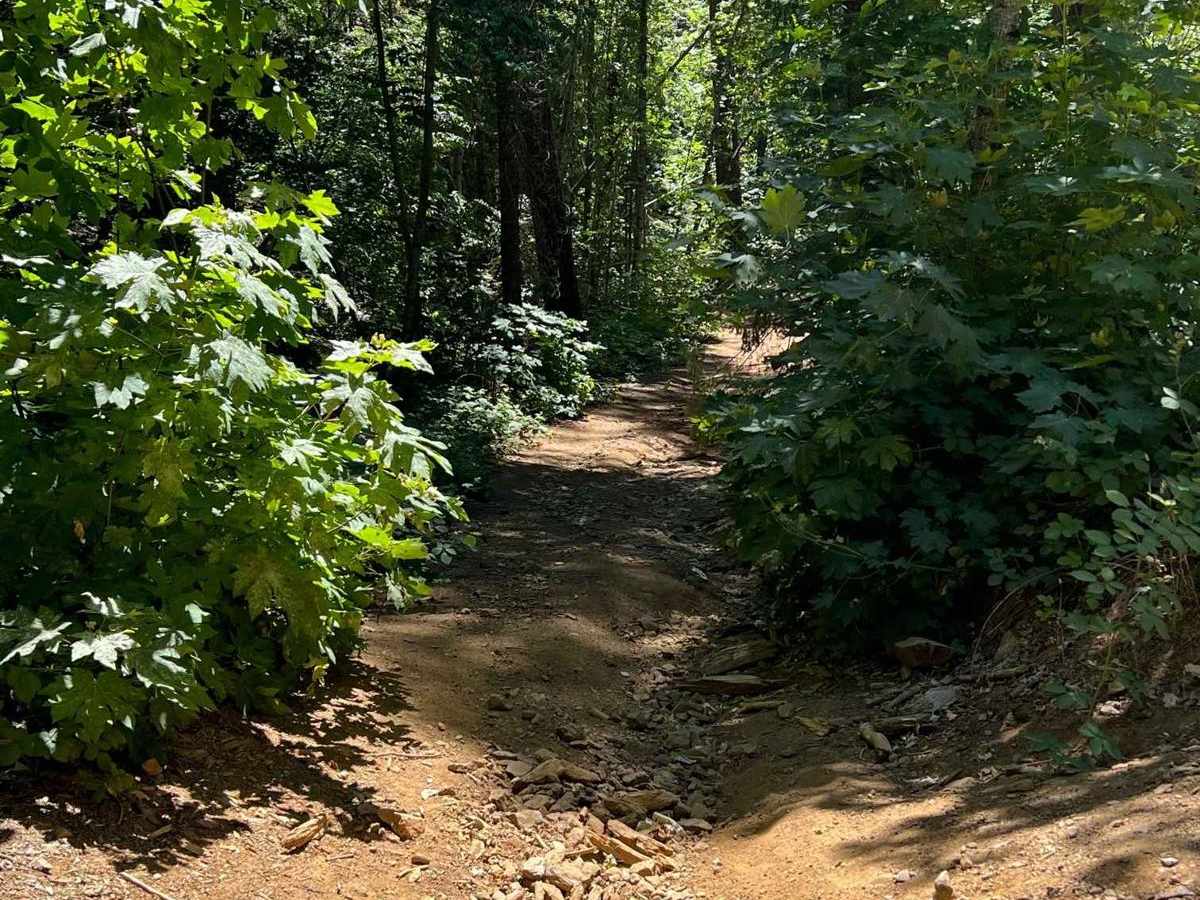 Keltz Mine trail photo