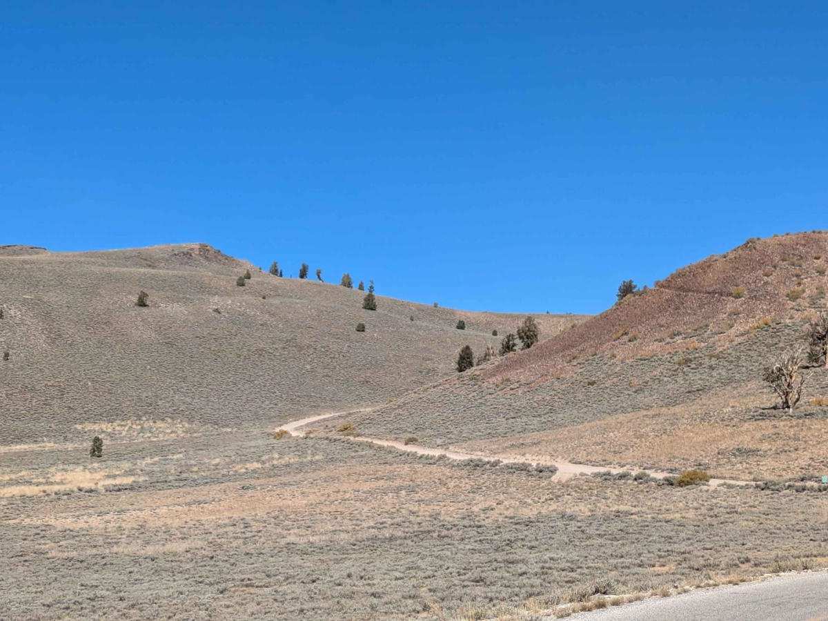 White Mountain Road trail photo
