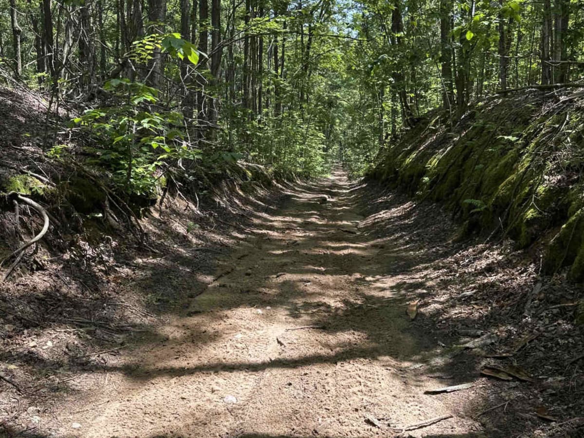 Berry Creek photo 5