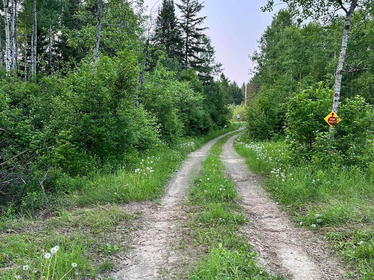 Michaud Woods photo 3