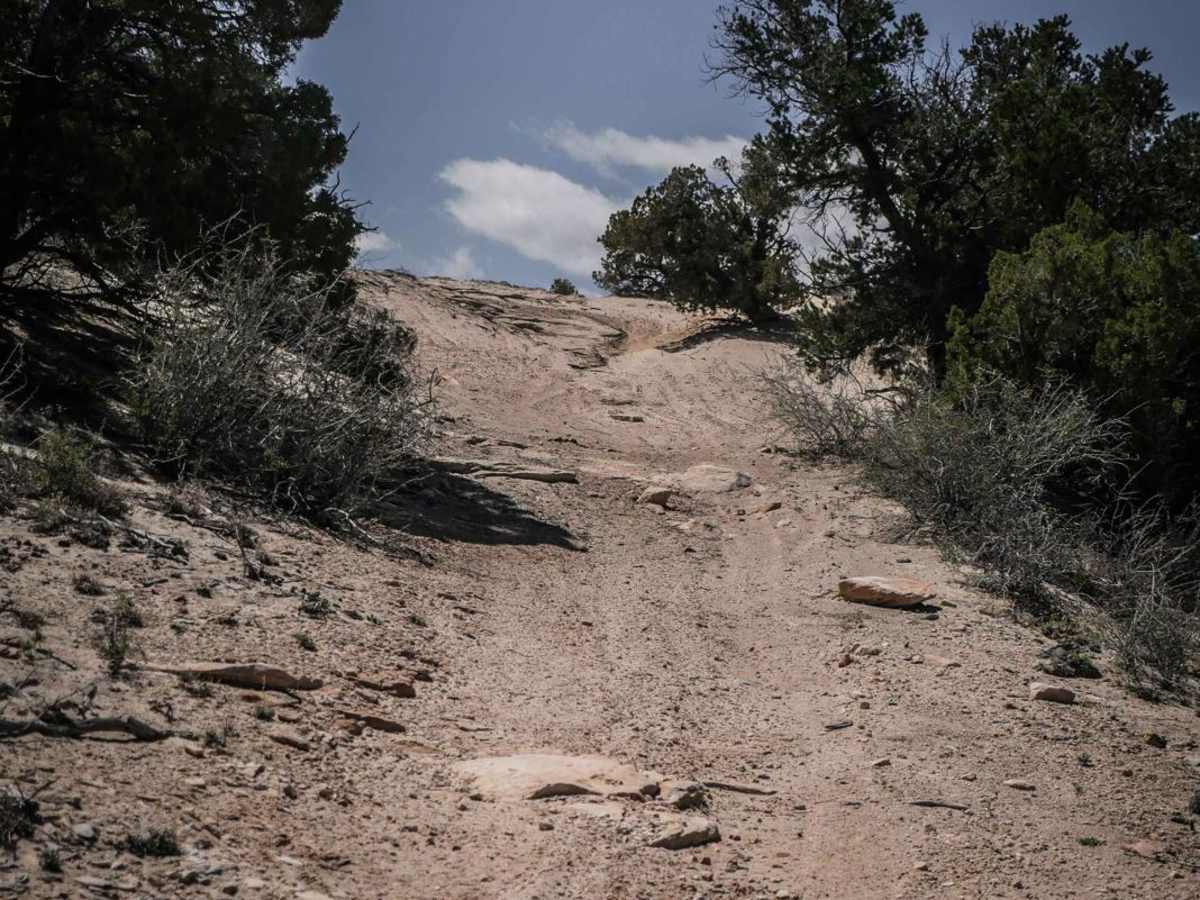 BLM Route 84 photo 3