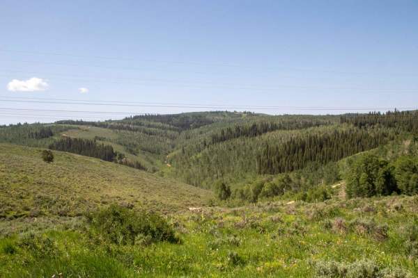 Baldy Wheeler Road