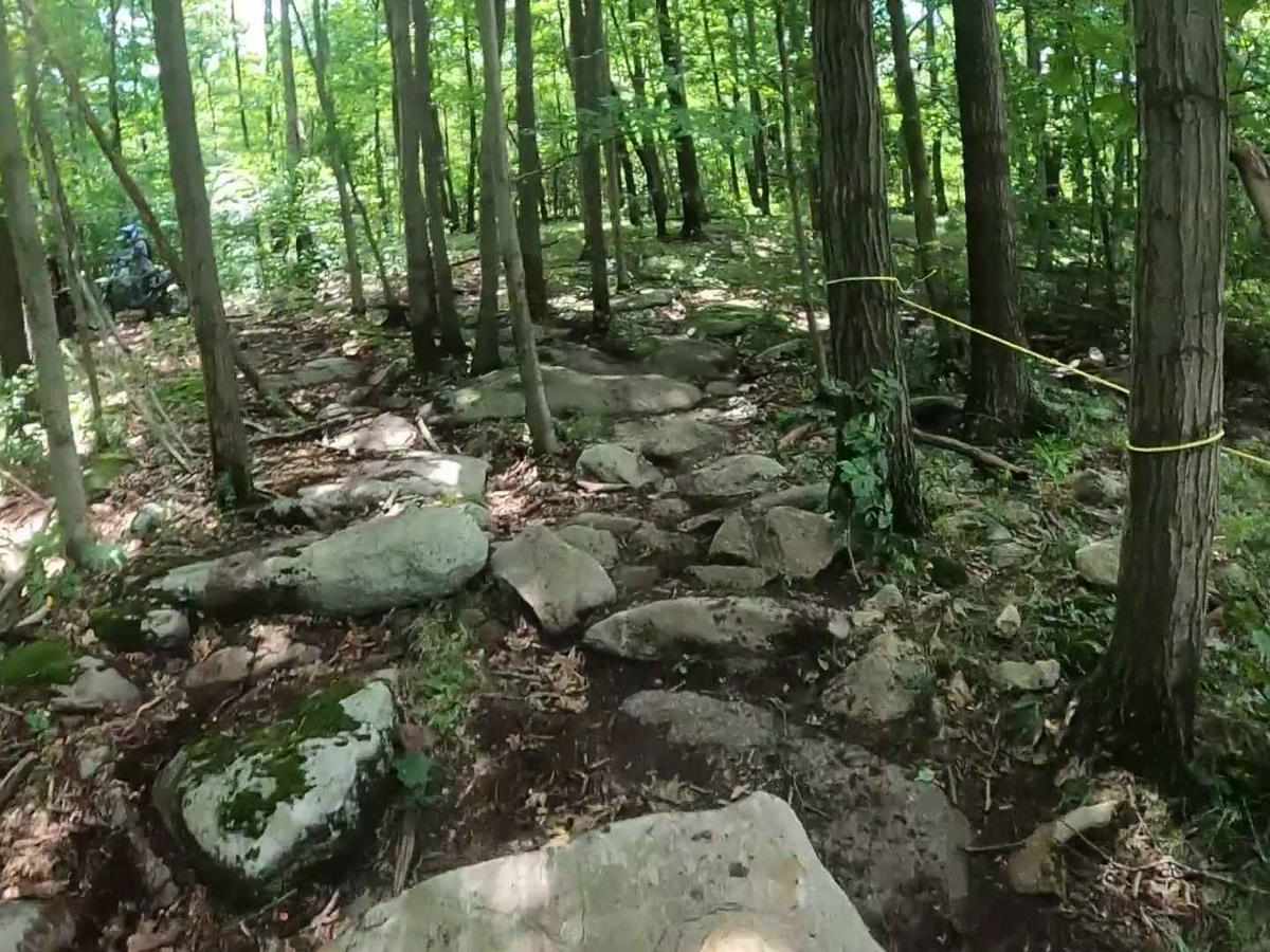 Mountain Ridge ATV Park Singletrack CF photo 4