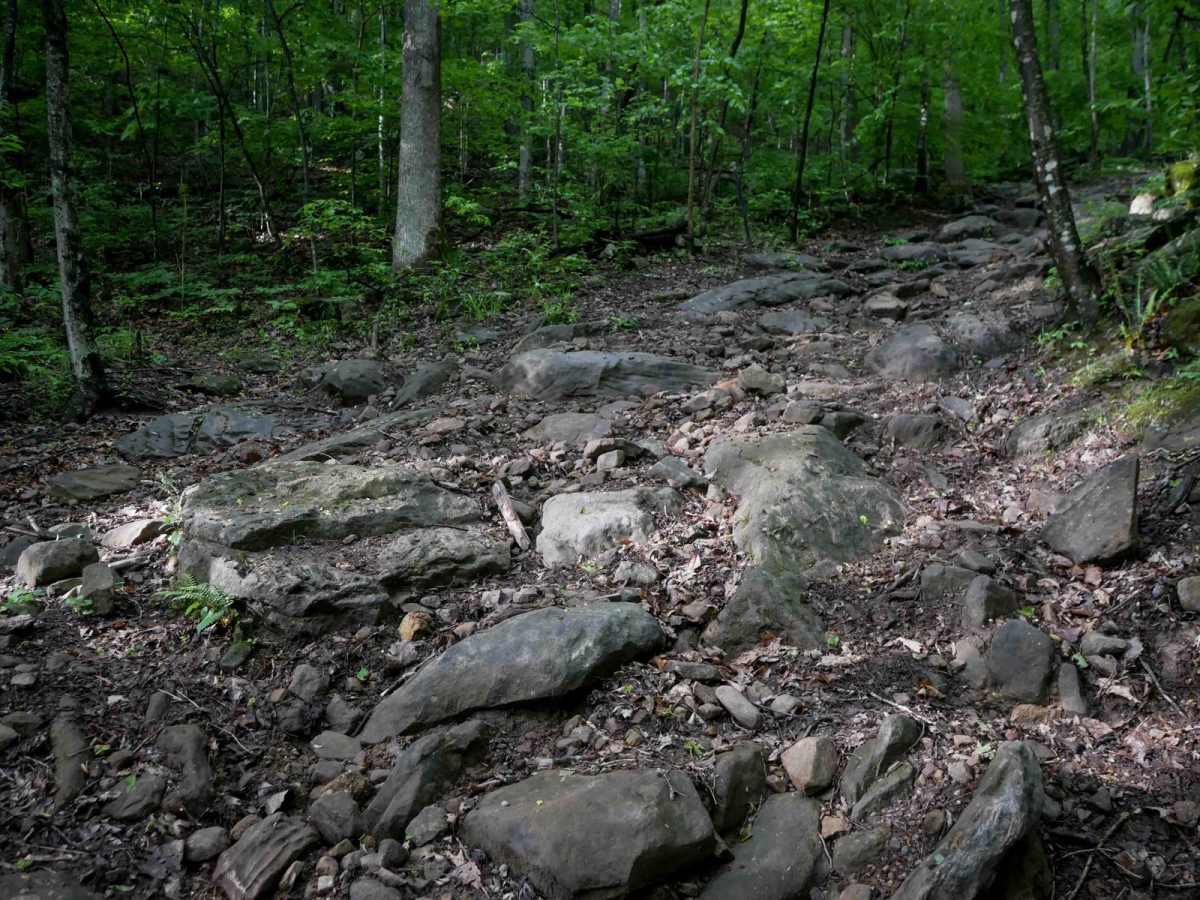 B88 trail photo
