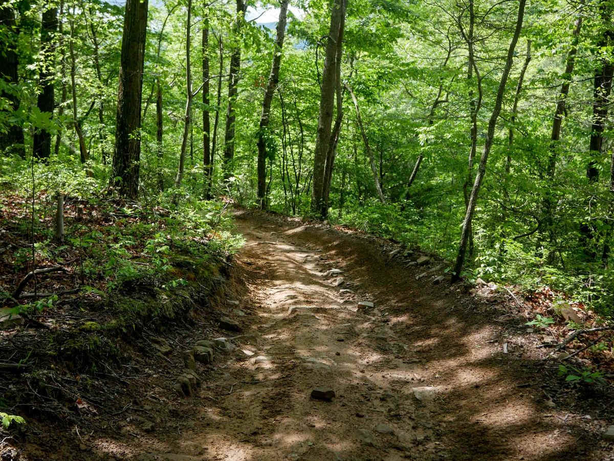 Trail 8 photo 5
