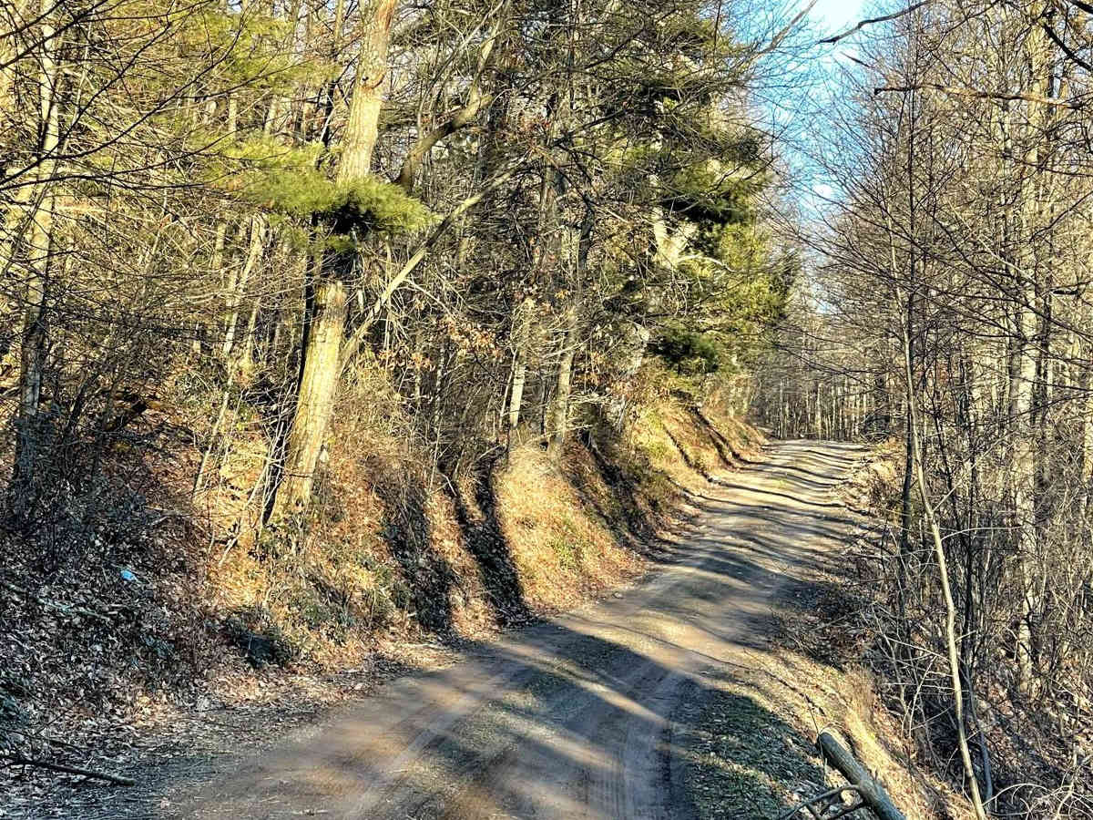 Knob Ridge Road photo 4