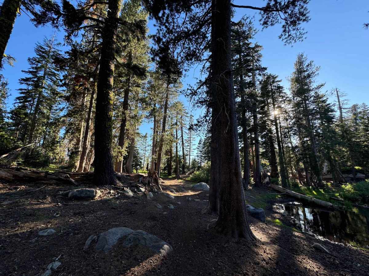 Summit Lake photo 6