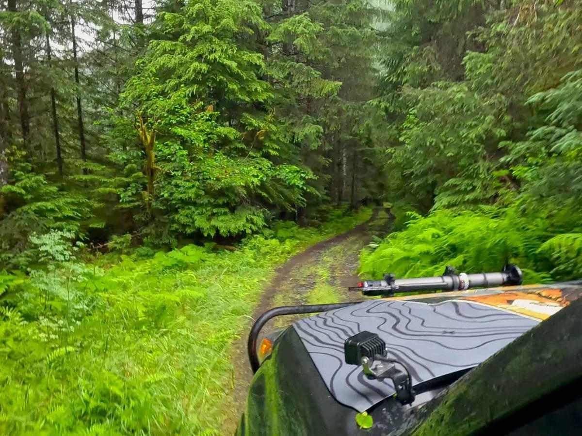 Frenchy Spur Road trail photo