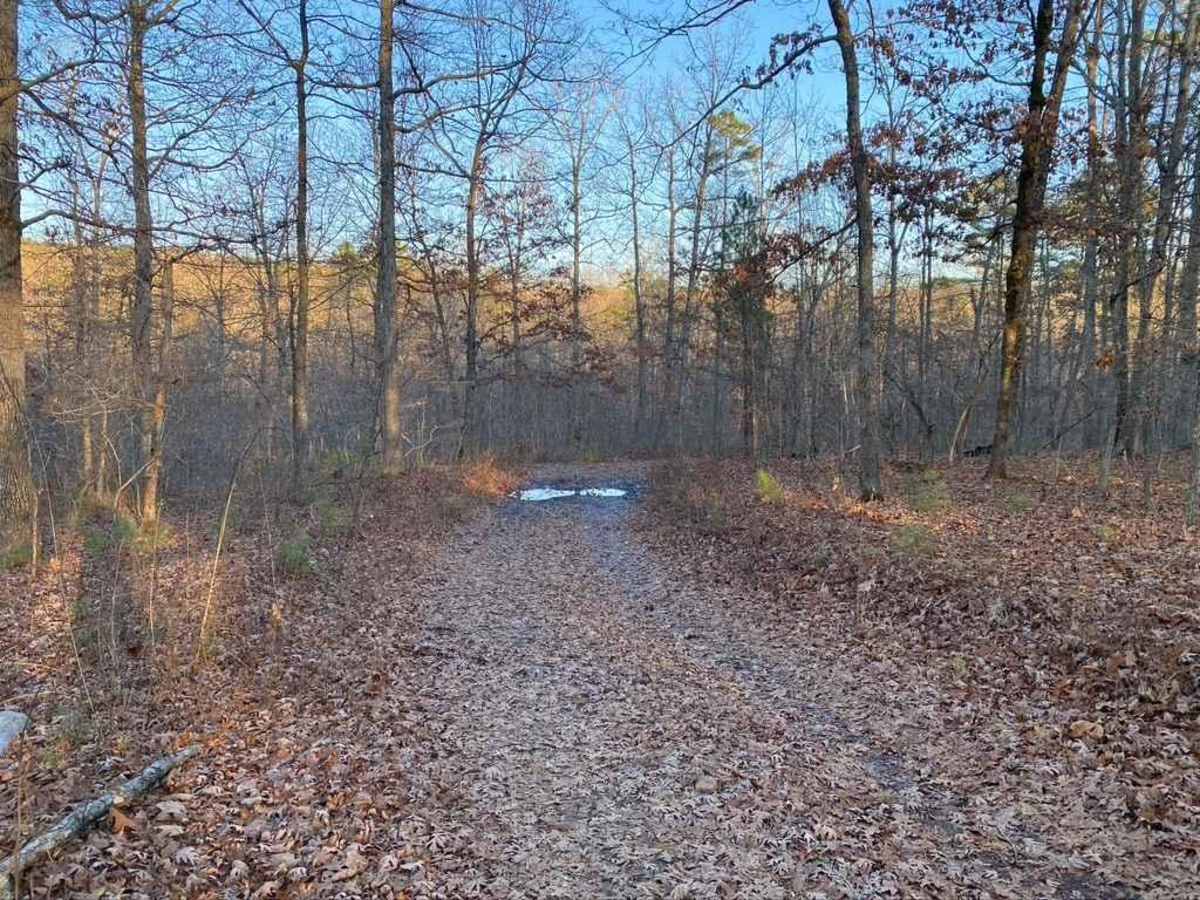 Dogtrot Hollow FSR 2134 photo 4