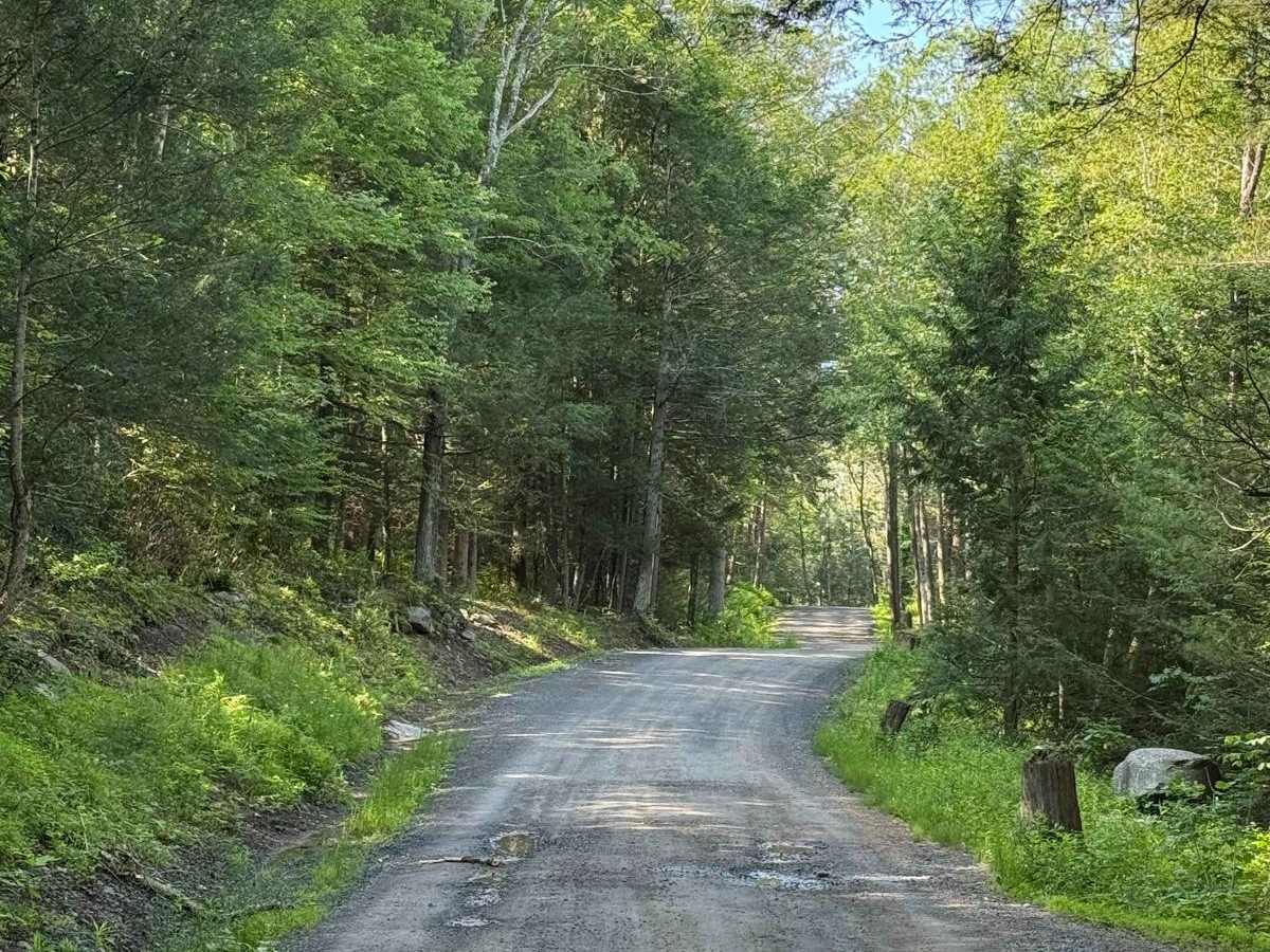 Lundy Road photo 4