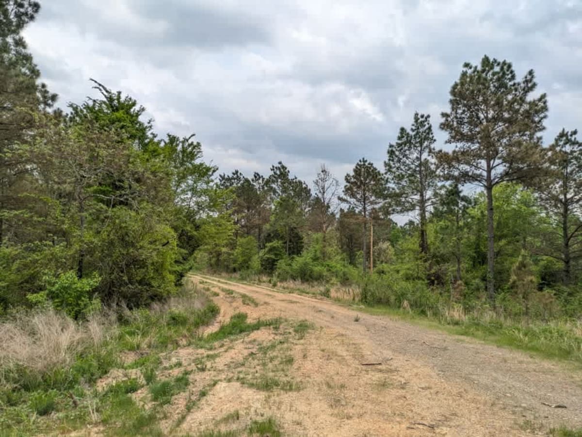51701 photo 2