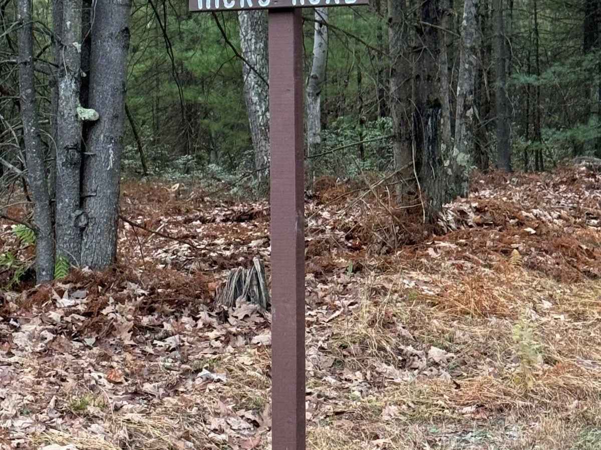 Hicks Road trail photo