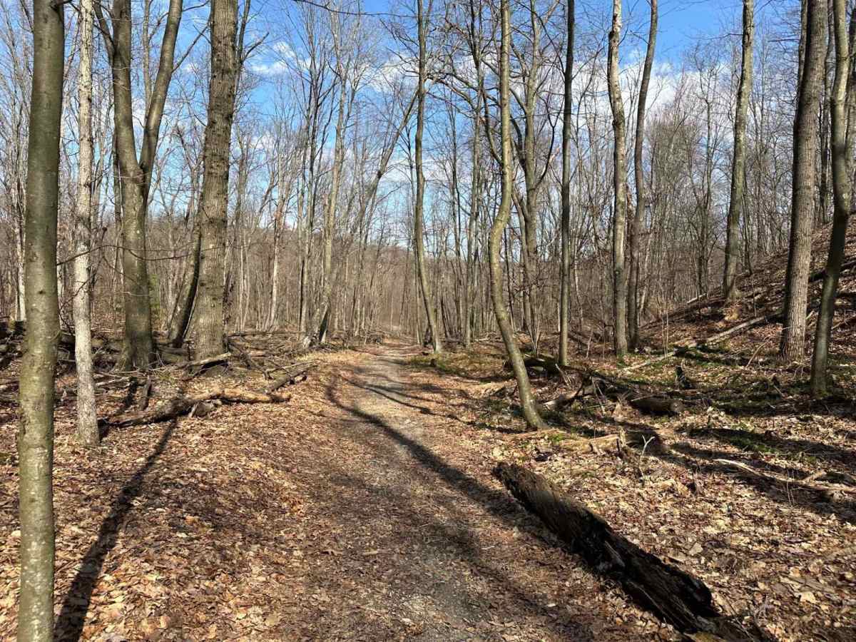 Darkwater Single Track 10 trail photo