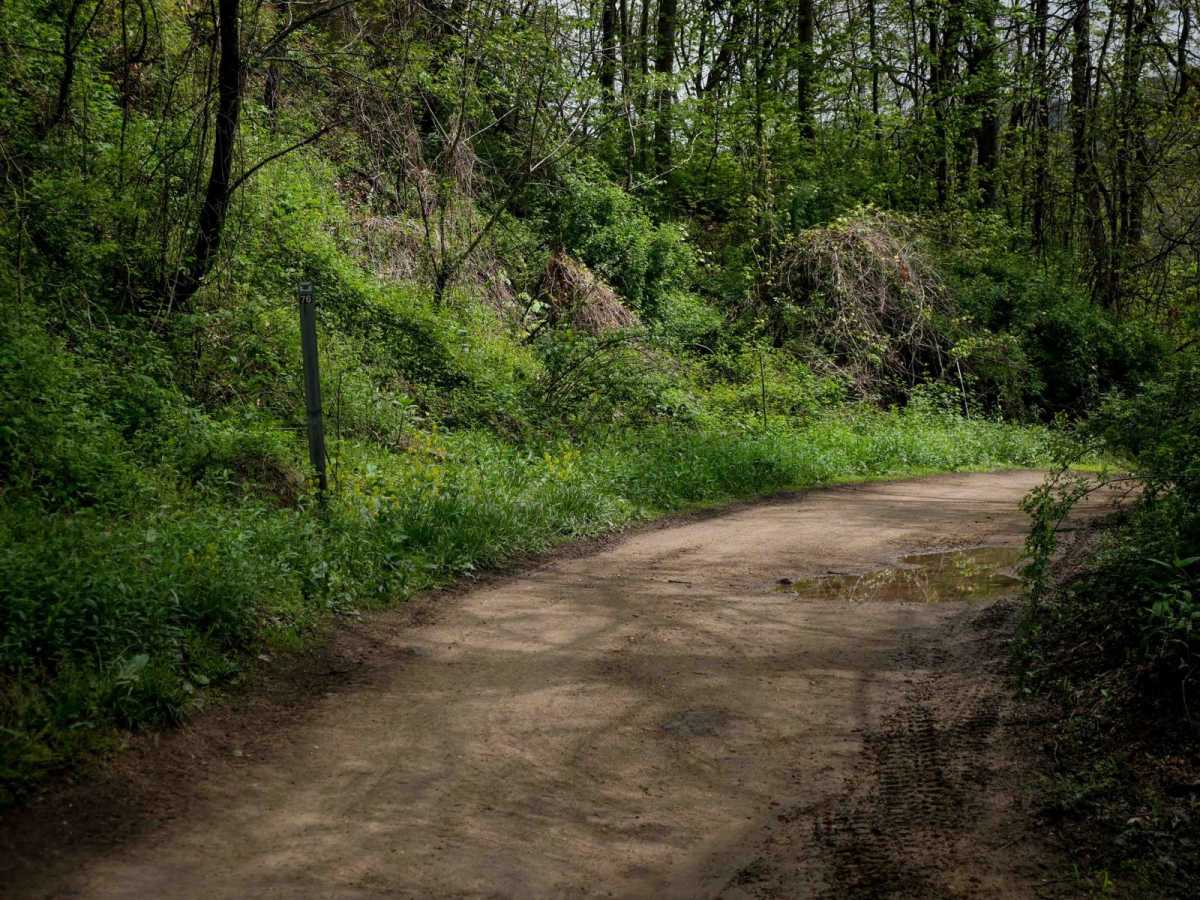 IR 76 trail photo