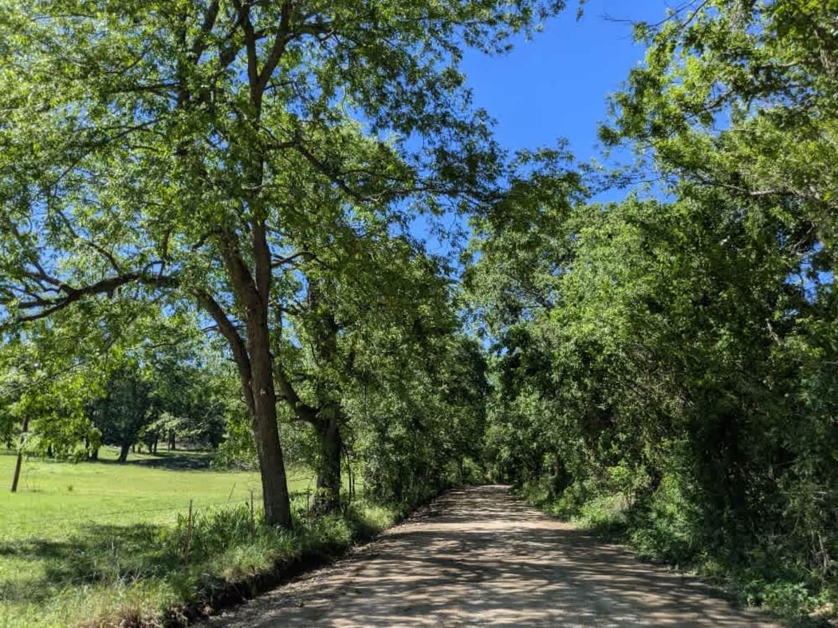 South 465 trail photo