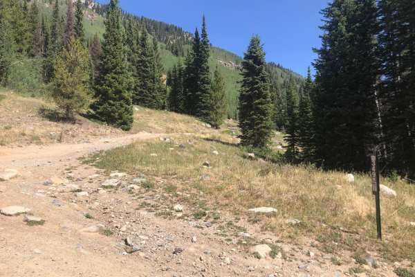 Grassy Gulch Road FS 349