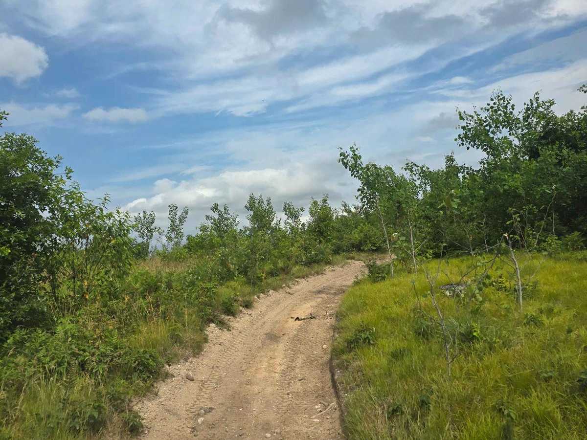 Ambrose Lake Trail East Loop photo 3