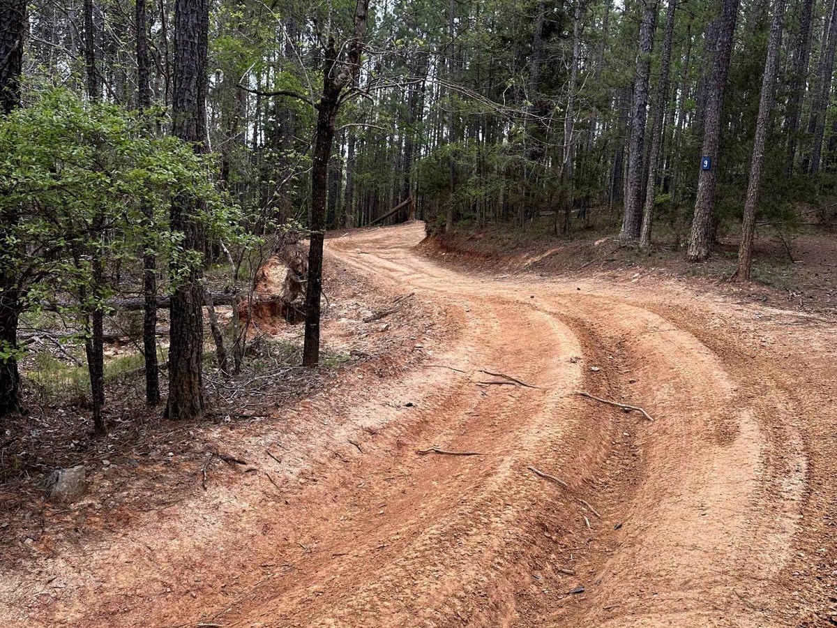 Trail 9 photo 4