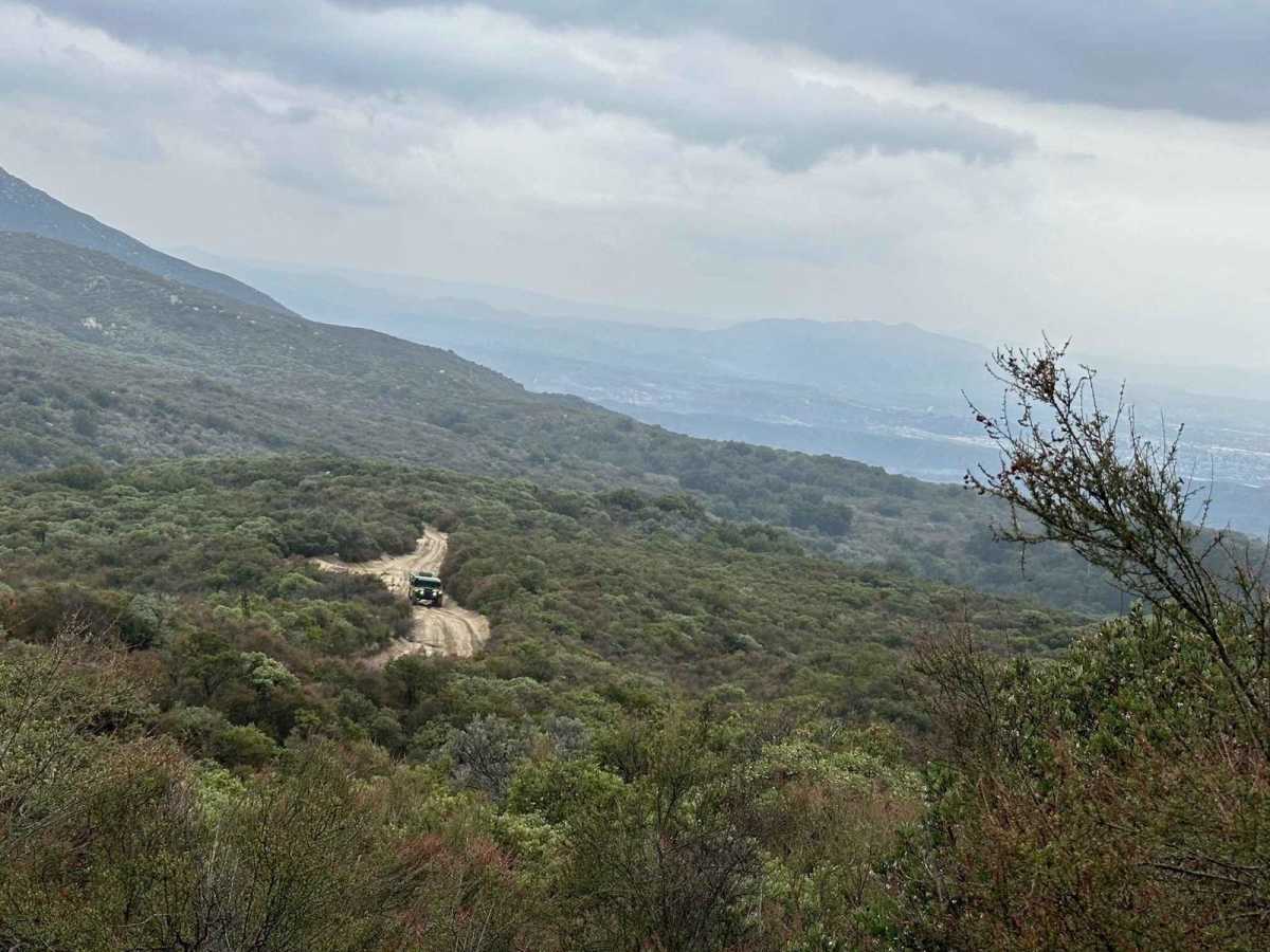 East Indian Canyon 4S10 photo 4