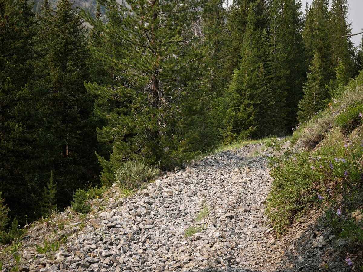Corrals ATV Trail photo 6