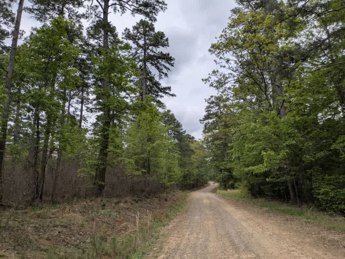 Eickleberry Road photo 6