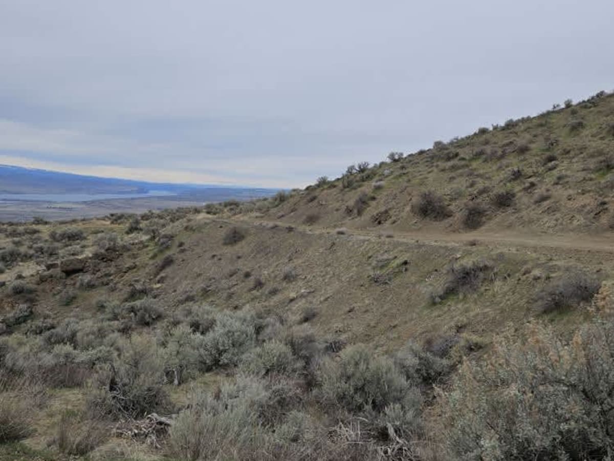 Saddle Mountain Northwest Trail photo 6