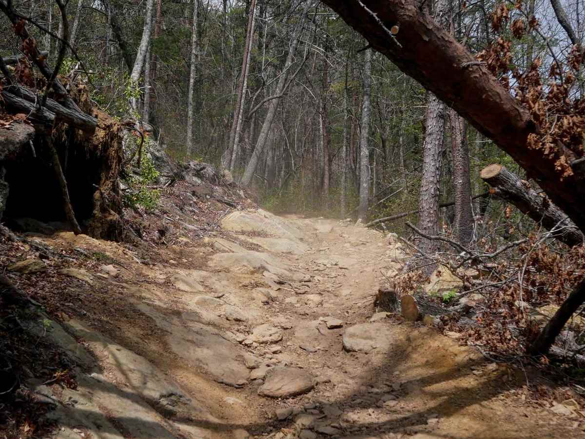 Trail 6 Miller Circle photo 6