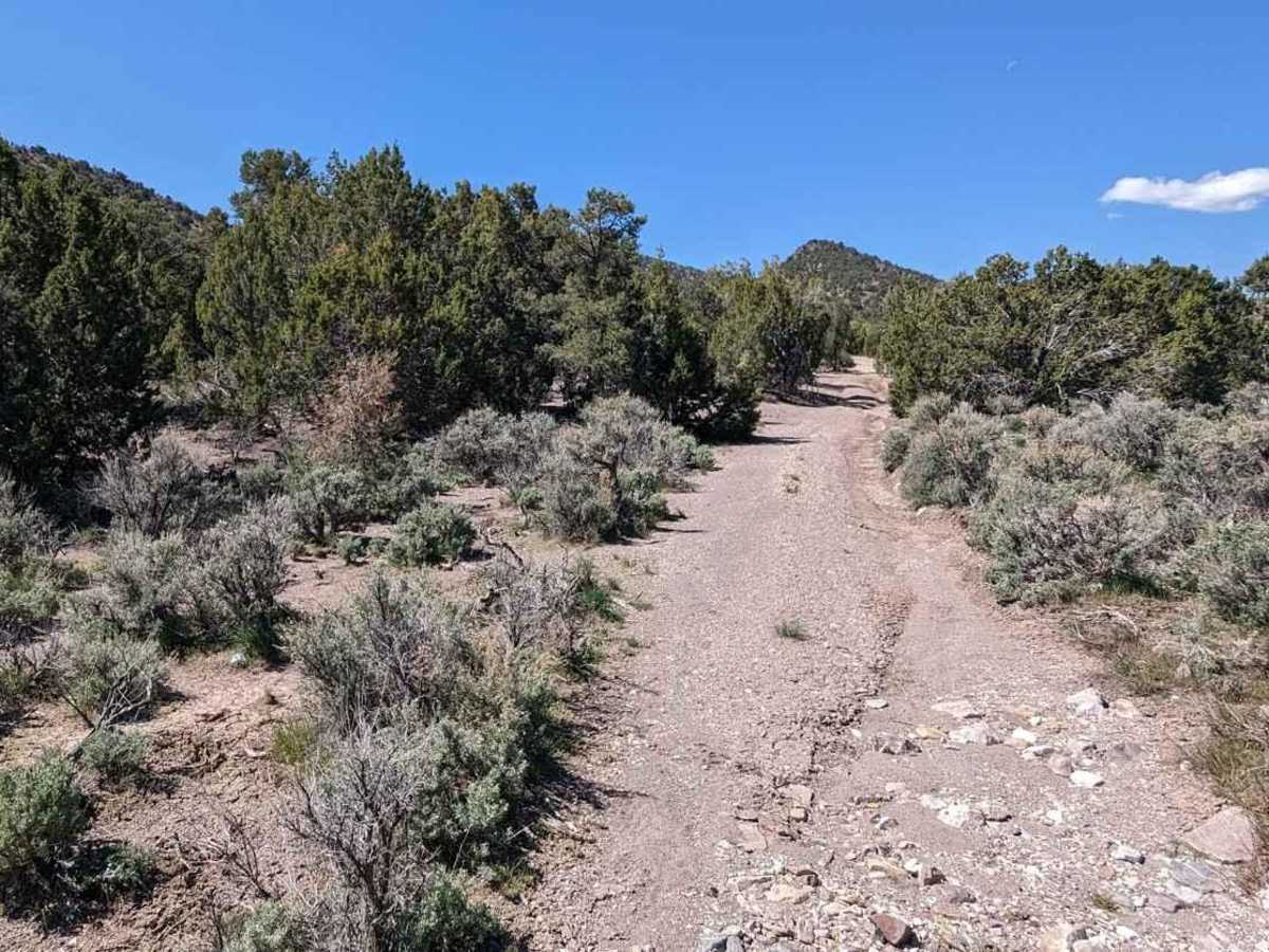 Lamerdorf Kiln Trail photo 2