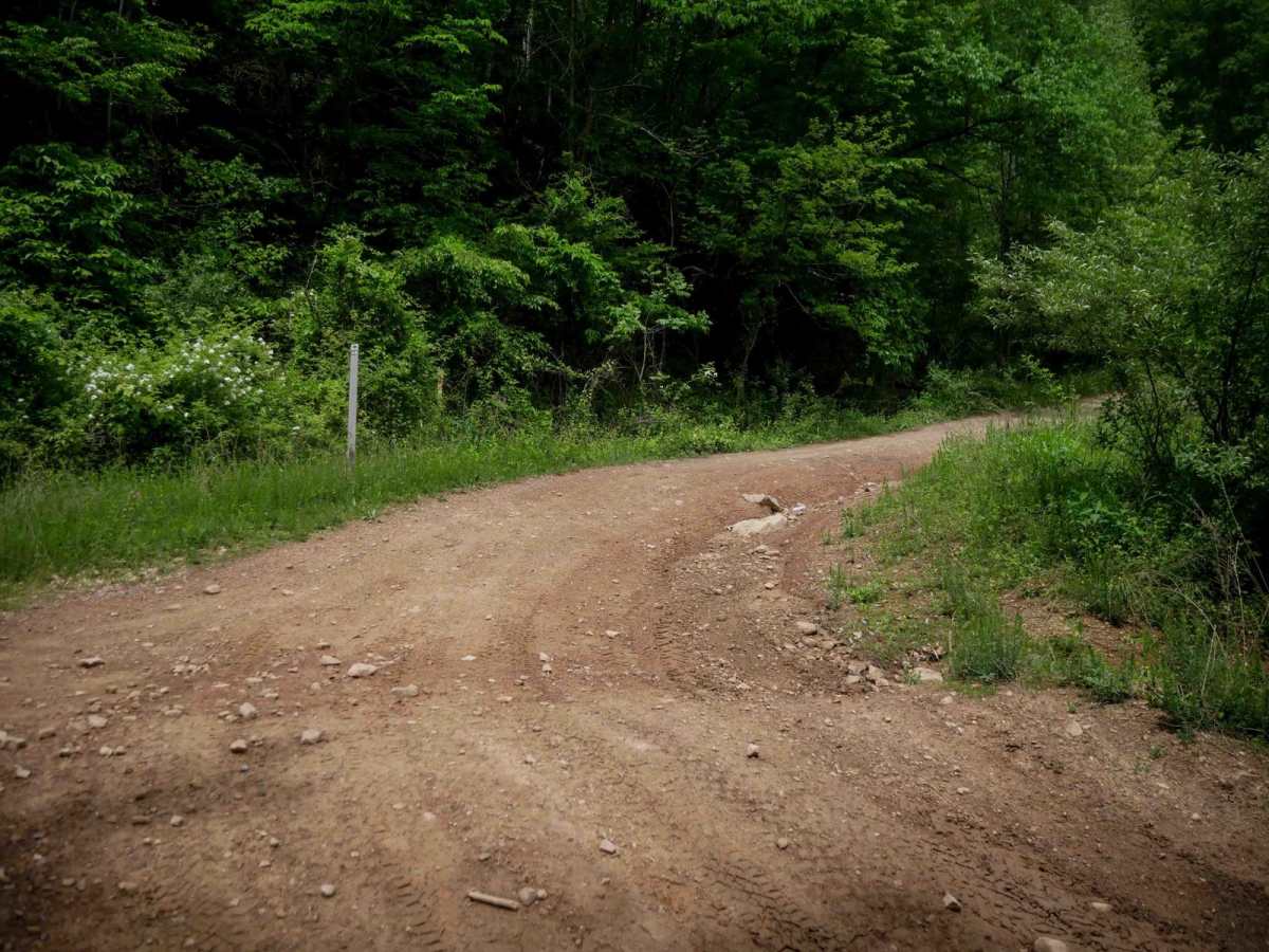 IB 48 trail photo