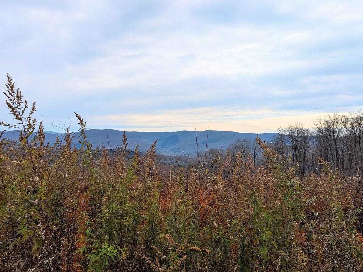 Schaeffer Road photo 4