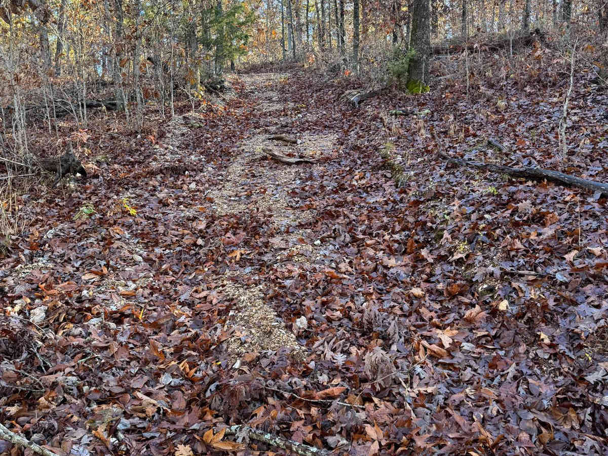 Green 120 photo 4