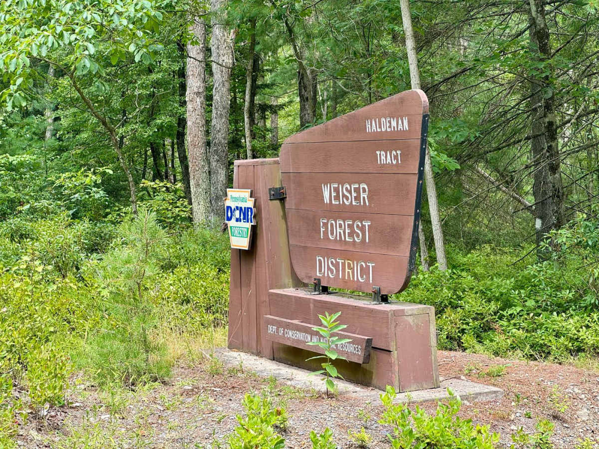 Haldeman Tract Air & Space trail photo