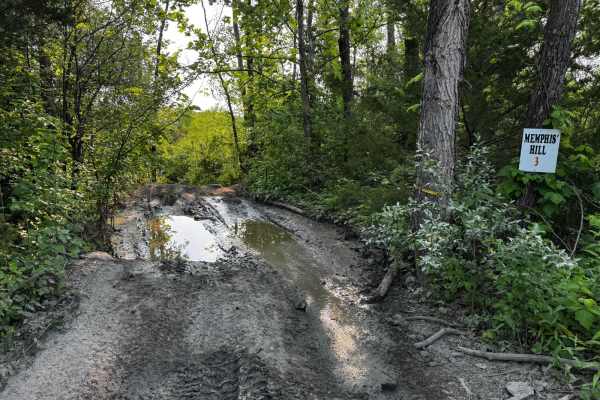 Memphis' Hill 87