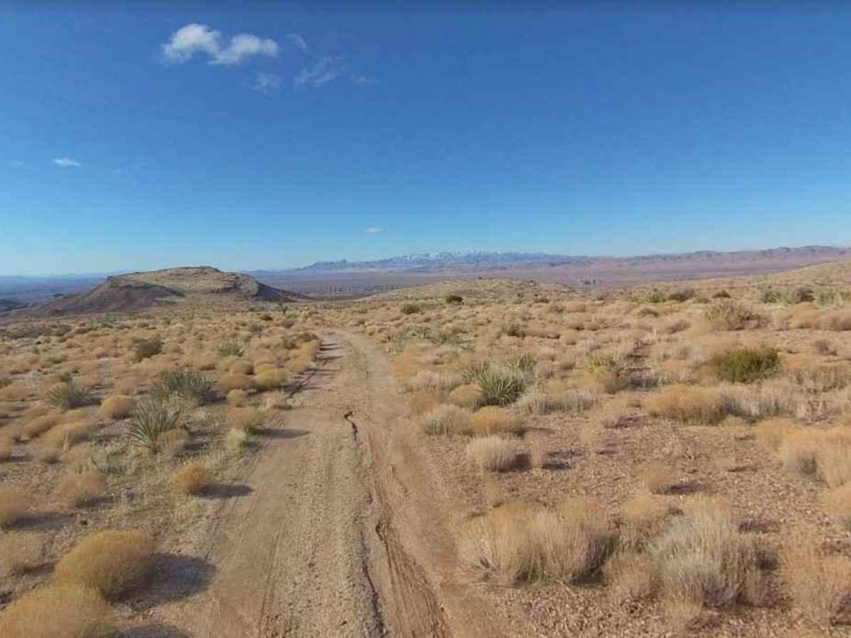 BLM30085 photo 6