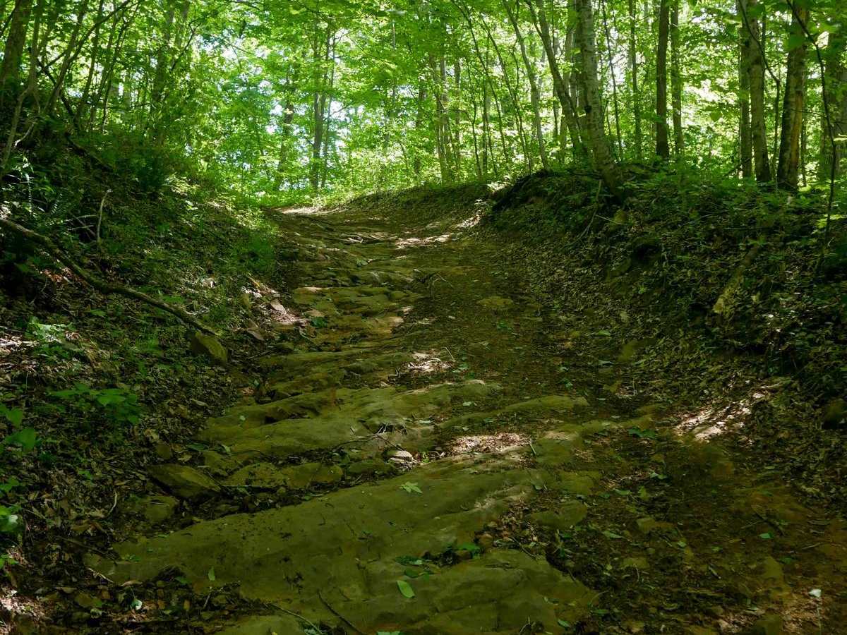 RV37 trail photo