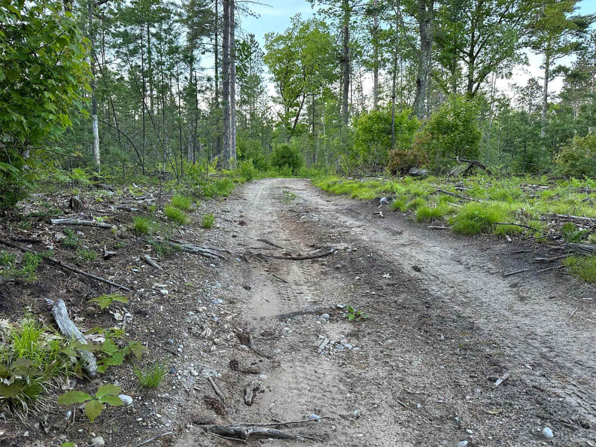 Lake Dubonnet Trail photo 3
