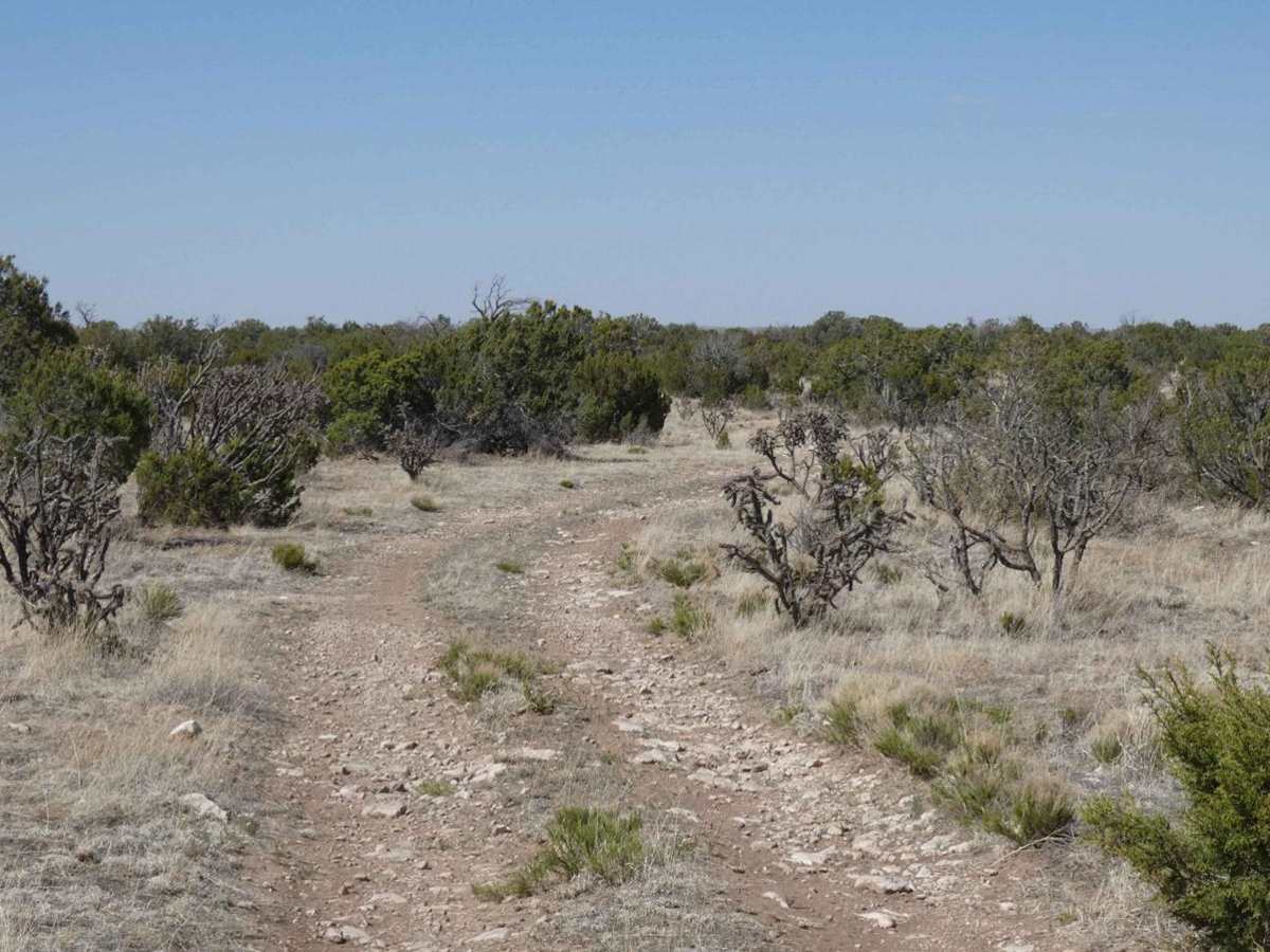Indian Creek Overlook photo 2