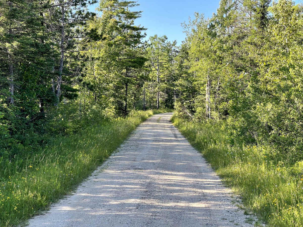 Hay Lake Road - FS 3413 photo 2
