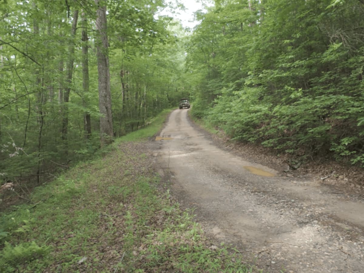 Hale Ridge photo 3
