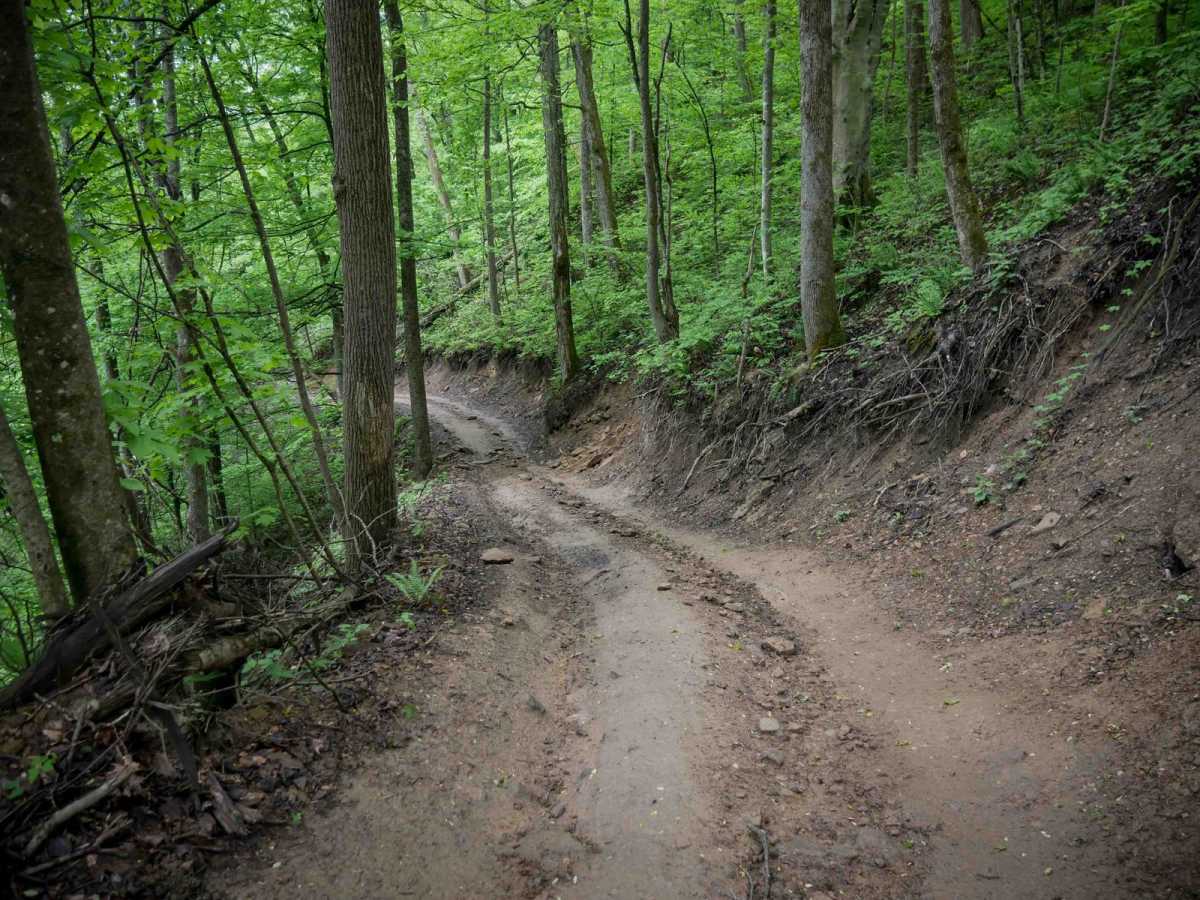 BM 29 photo 4