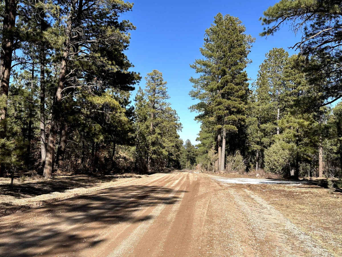 FR103 Run to Rio Puerco photo 3