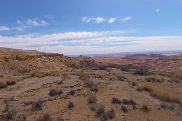 Saleratus Point-BLM13260