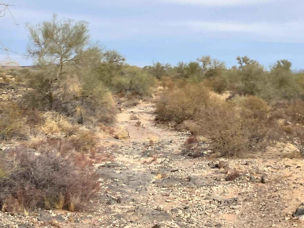 Painted Rock Road photo 4