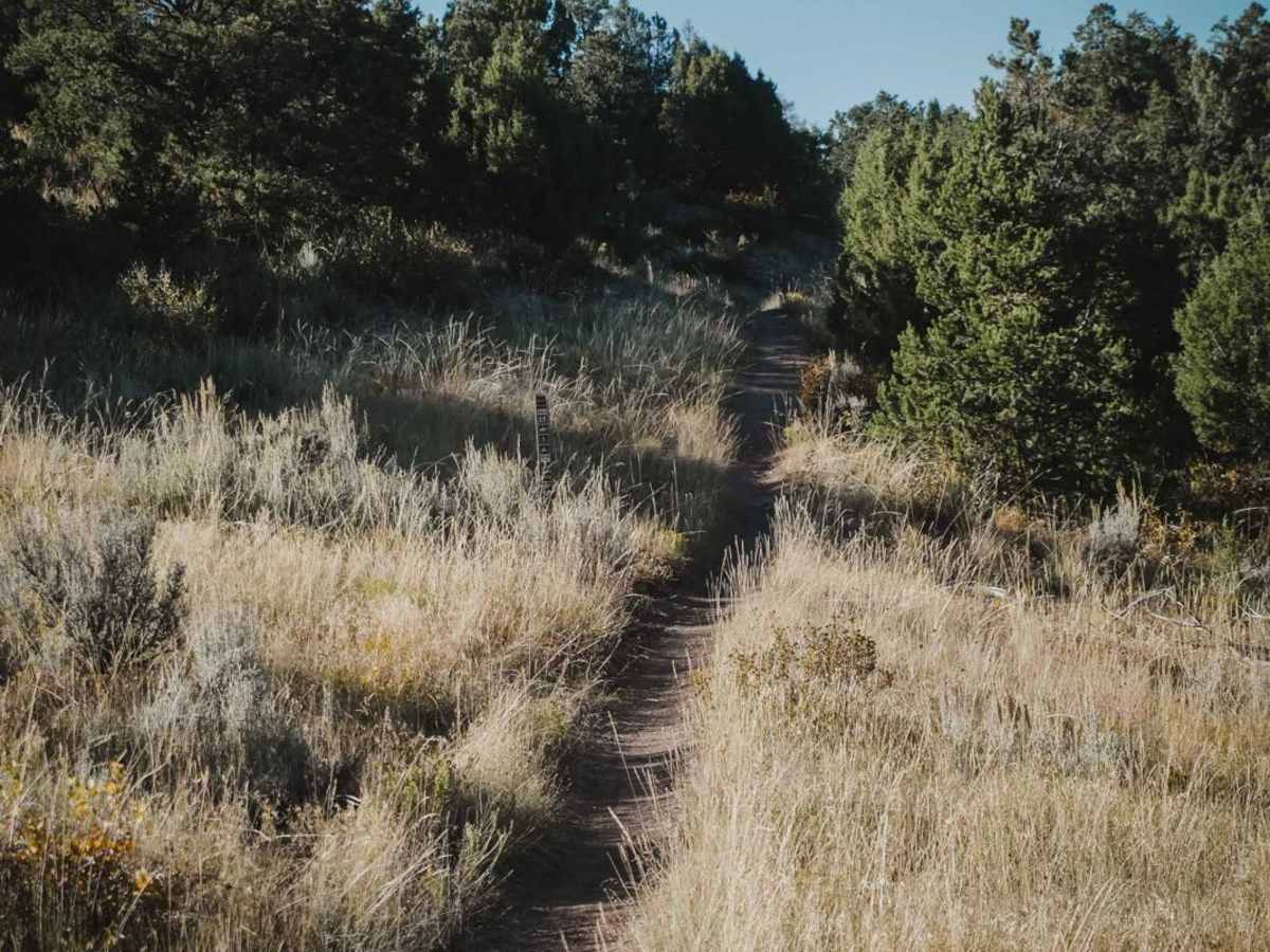 Buckhorn Traverse trail photo