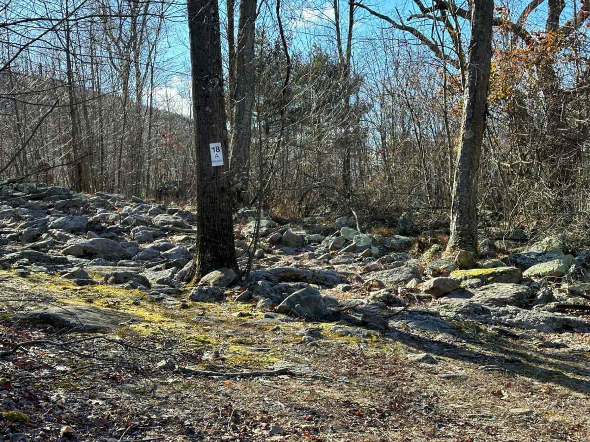 18A Blue East photo 5
