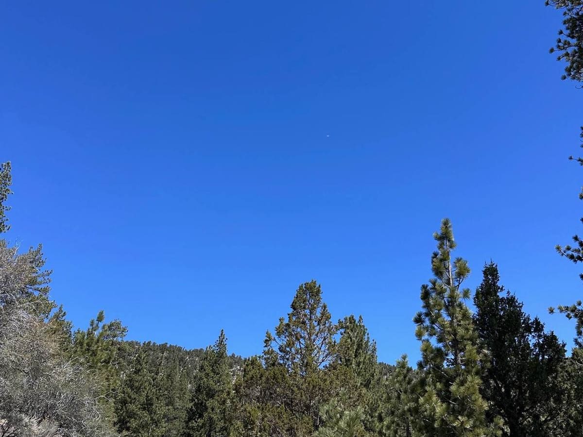 Van Dusen Canyon - 3N09 photo 6