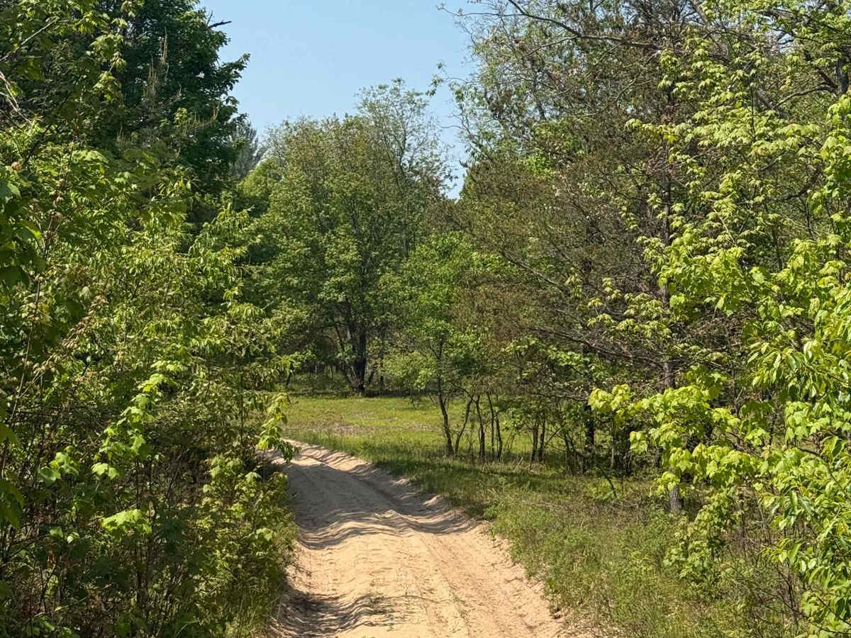 Fife Lake Trail photo 6